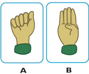 childrens book sign language